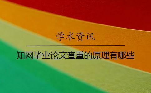 知網畢業論文查重的原理有哪些